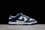 Nike Dunk Low Valerian Blue Dd1391-400