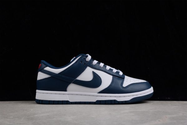 Nike Dunk Low Valerian Blue Dd1391-400