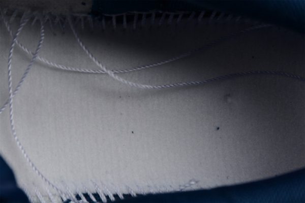 Nike Dunk Low Valerian Blue Dd1391-400