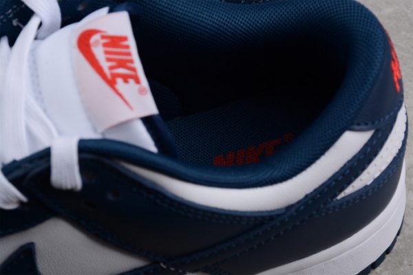 Nike Dunk Low Valerian Blue Dd1391-400