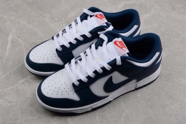 Nike Dunk Low Valerian Blue Dd1391-400