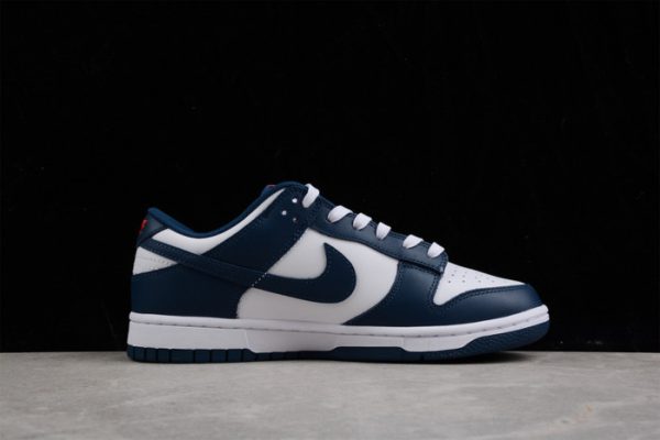 Nike Dunk Low Valerian Blue Dd1391-400