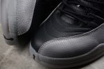 Air Jordan 12 Black Wolf Grey Ct8013-019