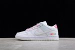Nike Sb Dunk Low Pro Be True Dr4876-100