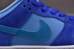Nike Sb Dunk Low Blue Raspberry Dm0807-400