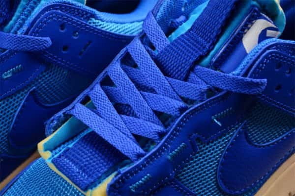 Nike Dunk Low Jumbo Reverse Dv8021-400